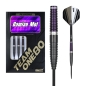 Preview: Damian Mol Steel Darts 24g