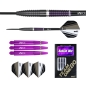 Preview: Damian Mol Steel Darts 24g