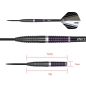 Preview: Damian Mol Steel Darts 24g