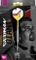 Preview: GABRIEL CLEMENS G2 23G SP STEEL TIP DARTS