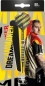 Preview: Target Dimitri Van Den Bergh 80% Softdarts 20 Gramm