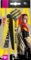 Preview: Target Dimitri Van Den Bergh 80% Steeldarts 22 Gramm