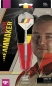 Preview: Target Dimitri Van Den Bergh G1 90% Swissdarts 21 Gramm