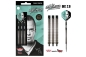 Preview: Max Hopp 90% Tungsten Steel Dart Bulls 25 Gramm