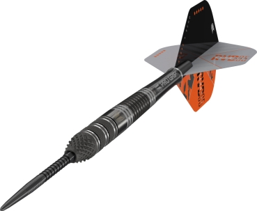 Target RVB ECHO 95% Swissdarts 25 Gramm