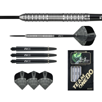 Aaron Morrison Dart Steeltip 22g