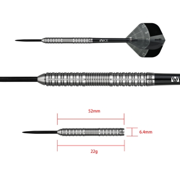 Aaron Morrison Dart Steeltip 22g