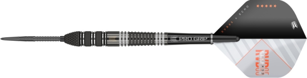 Target RVB ECHO 95% Swissdarts 25 Gramm