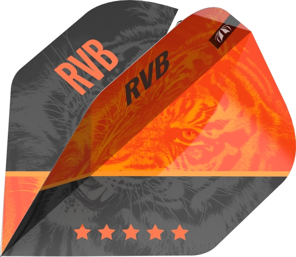 Target RAYMOND VAN BARNEVELD G4 Flights Pro Ultra Standart No.2