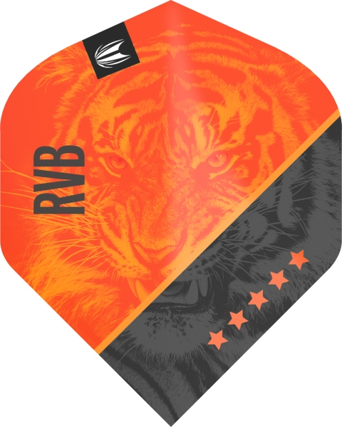 Target RAYMOND VAN BARNEVELD G4 Flights Pro Ultra Standart No.2