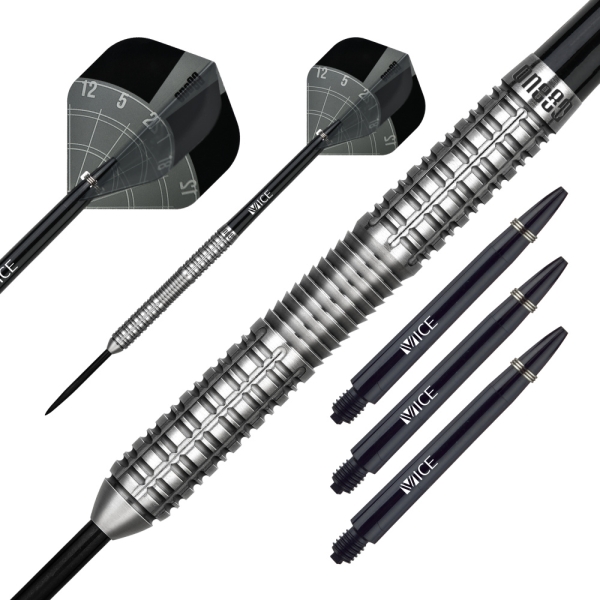 Aaron Morrison Dart Steeltip 22g