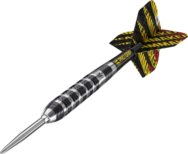 Target Dimitri Van Den Bergh 80% Steeldarts 22 Gramm